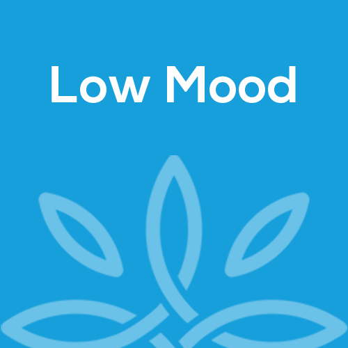 Low Mood